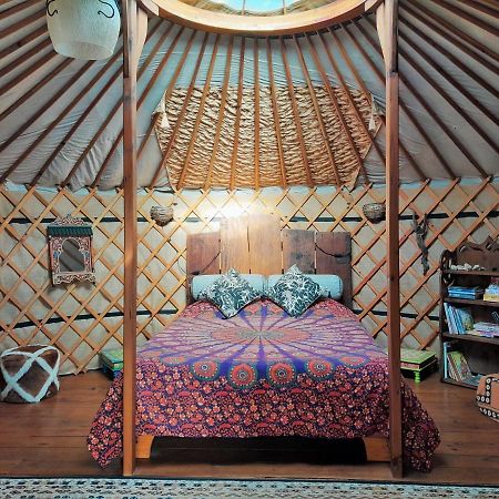 Green Man Yurt Penela Εξωτερικό φωτογραφία