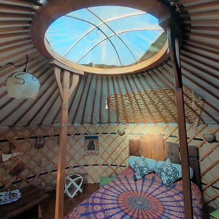 Green Man Yurt Penela Εξωτερικό φωτογραφία