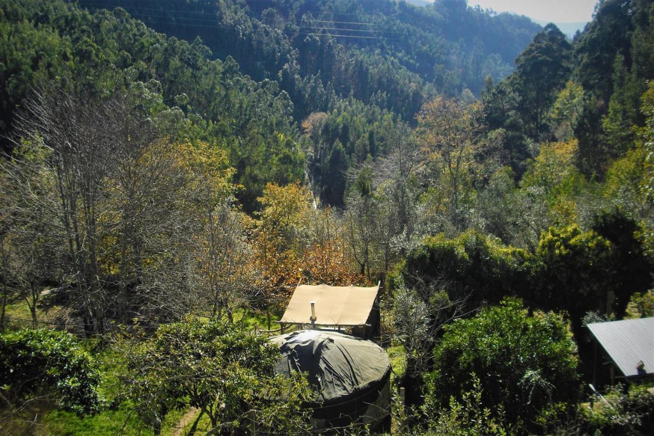 Green Man Yurt Penela Εξωτερικό φωτογραφία