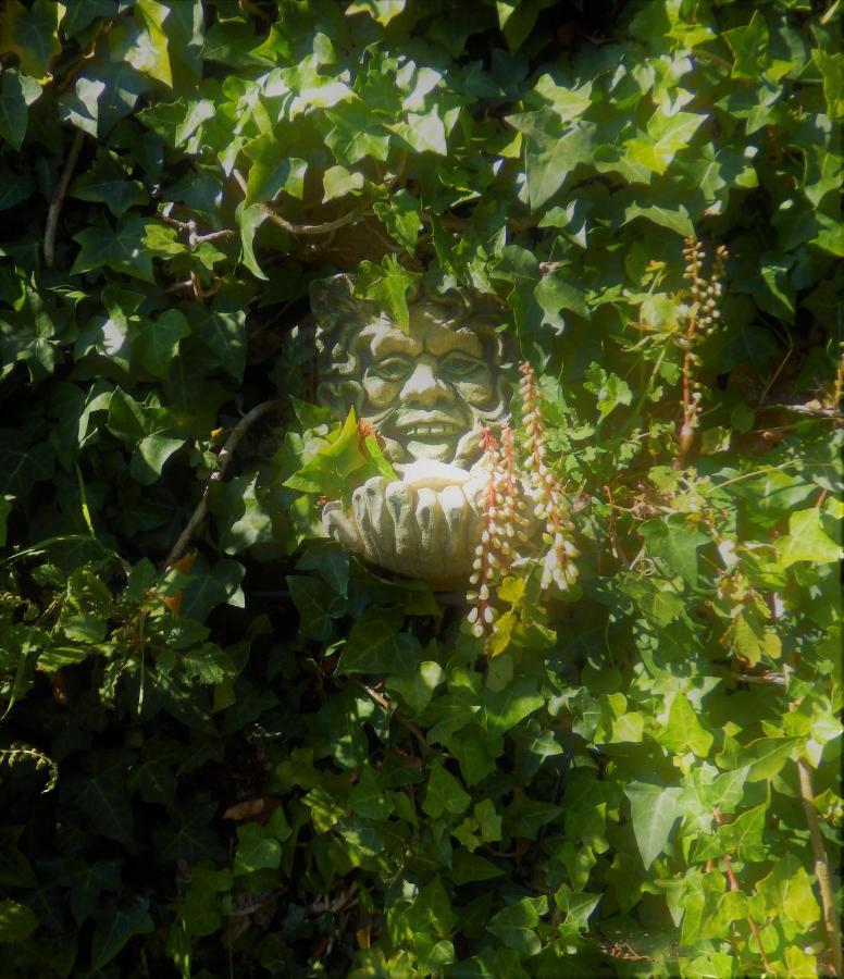 Green Man Yurt Penela Εξωτερικό φωτογραφία