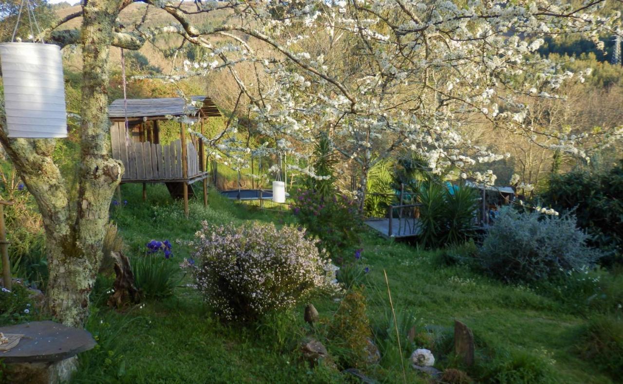 Green Man Yurt Penela Εξωτερικό φωτογραφία