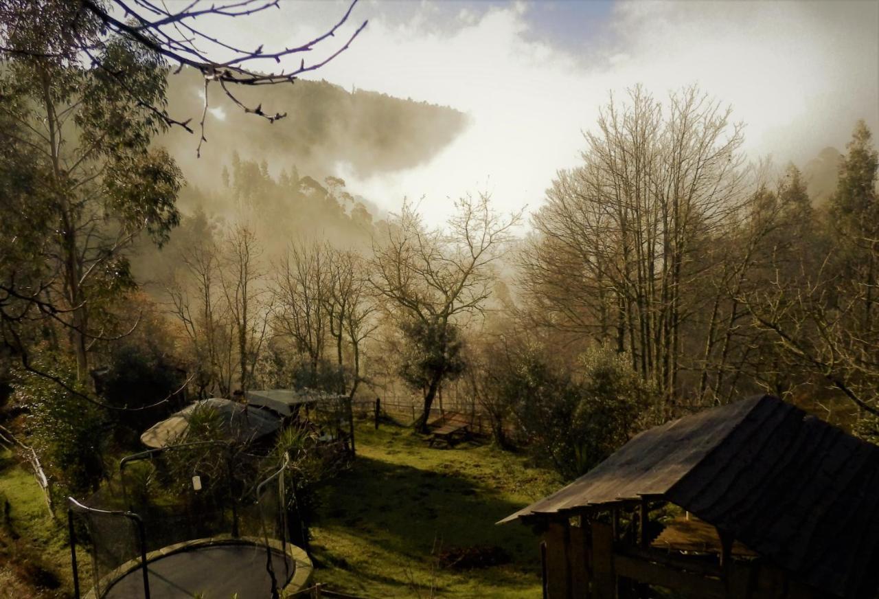 Green Man Yurt Penela Εξωτερικό φωτογραφία