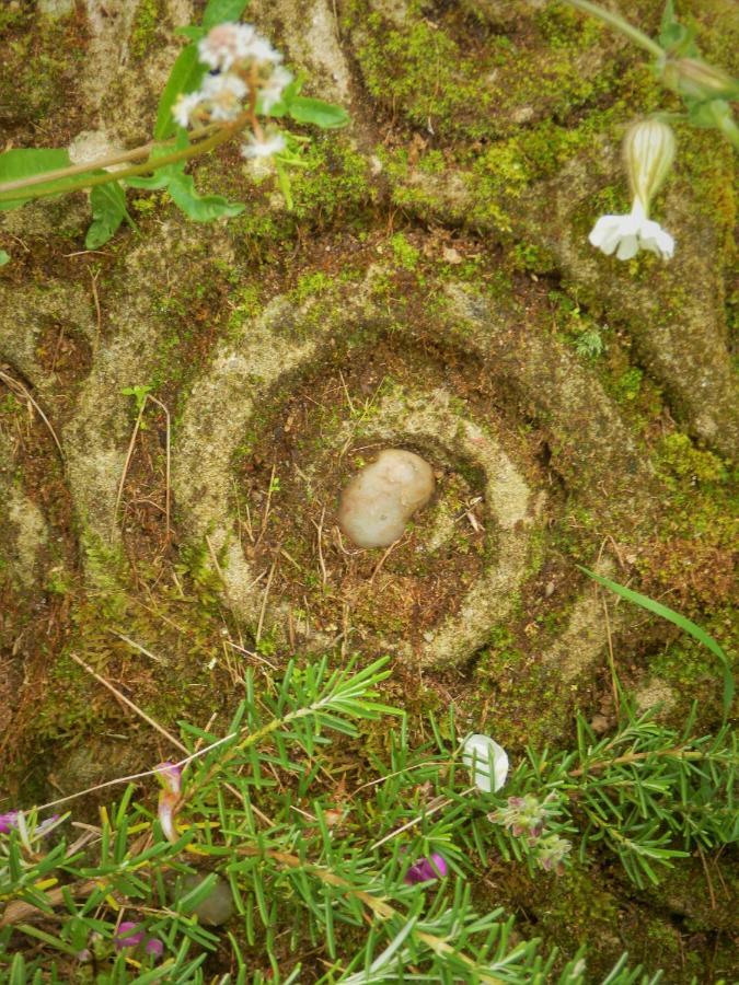 Green Man Yurt Penela Εξωτερικό φωτογραφία