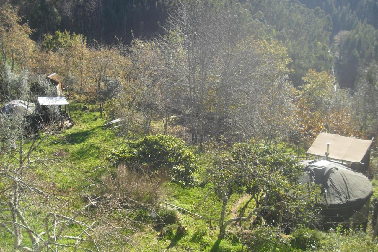 Green Man Yurt Penela Εξωτερικό φωτογραφία