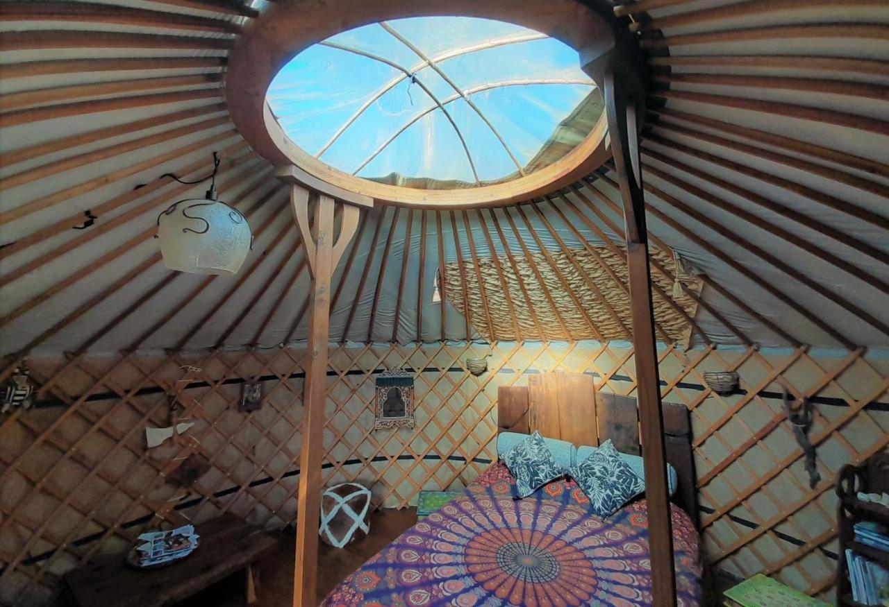 Green Man Yurt Penela Εξωτερικό φωτογραφία